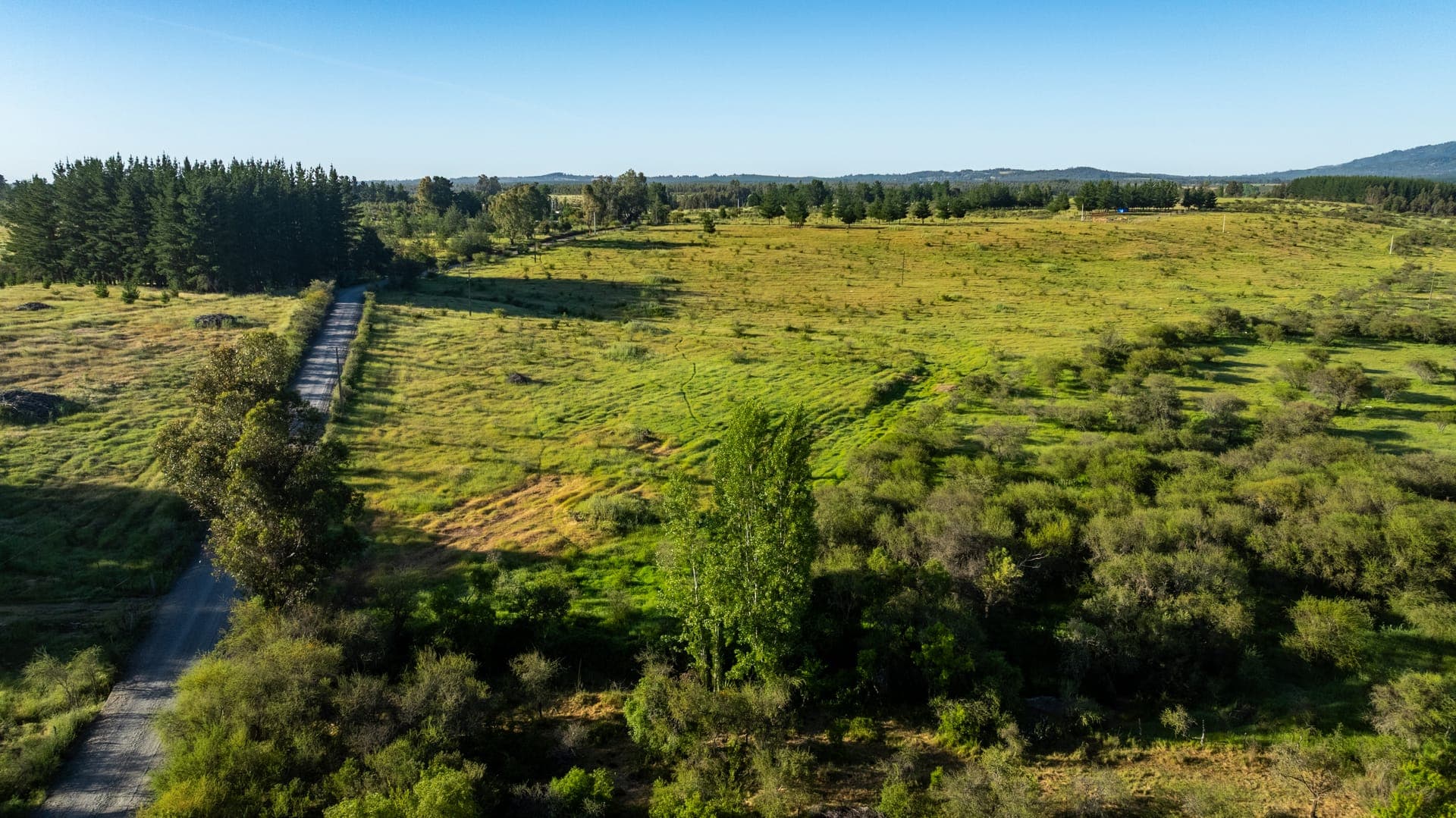 Vista aérea Los Dos Pinos