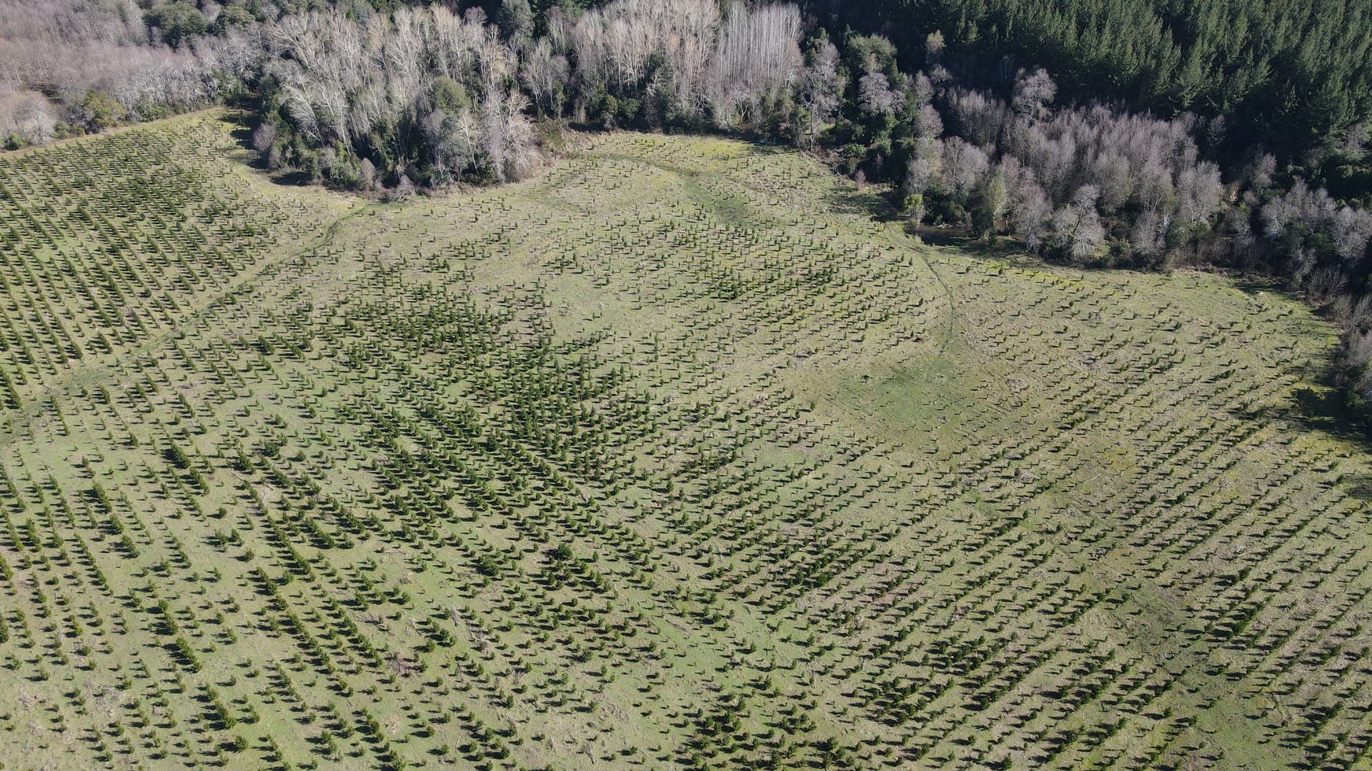 Vista aérea proyecto Yungay, Huampuli